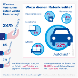 Infografik 2024 - Kreditnutzung